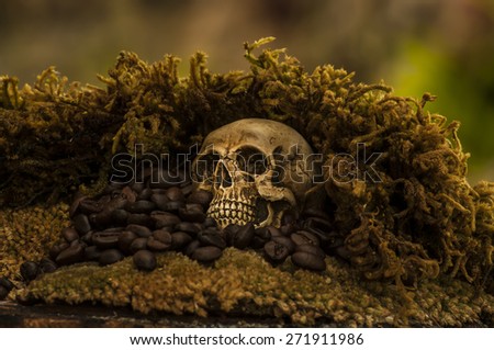 Skull and coffee beans