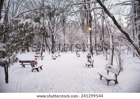Lights on in the white park/View of an alley in a park with heavy snow everywhere, two days after New Years Eve, just a few minutes after the lights went on. Bucharest, Romania, January 2, 2015