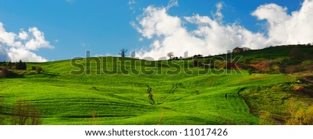 Green wheat field on a hill side