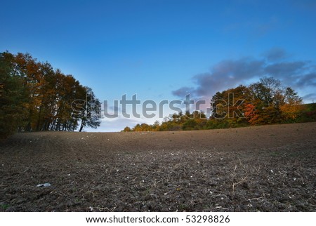Rural evening landscape with plowed land and line of trees in background