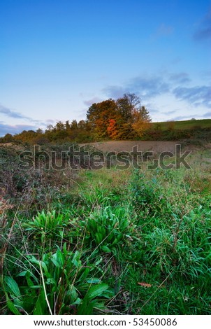 Rural landscape with plowed land and bright orange tree in background