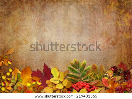 Border with autumn leaves and berries on a vintage background