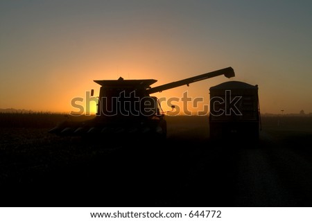 combine filling truck at sunset