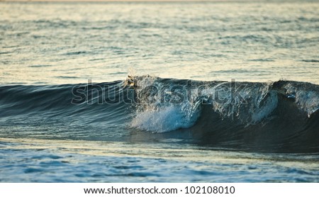 Breaking wave off the north coast of Bali