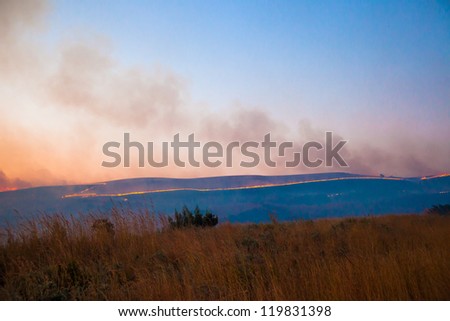 Line of fire in brush from an African wildifre