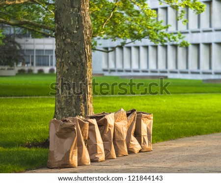 Row of recycling yard waste paper bags