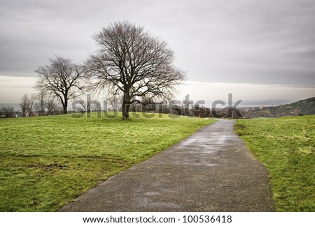 Park with trees in Edinburgh. In the picture there is no person is taken on a hill.