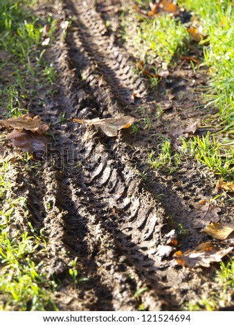 wheel tracks in the mud detail