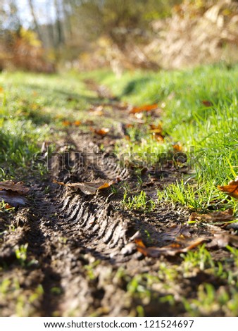 wheel tracks in the mud in a selective focus