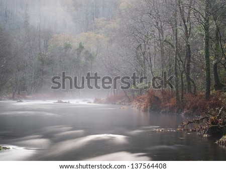 Mist river in Galicia, Spain. This river is called Eume river.