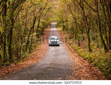 Car on a road in the forest in autumn.