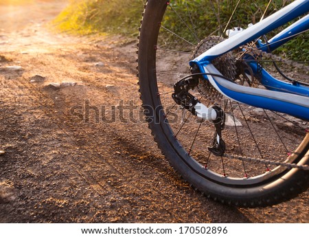 Wheel mountain bike bicycle detail in a sunny day