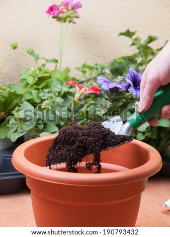 Preparing a pot for transplanting a plant at home