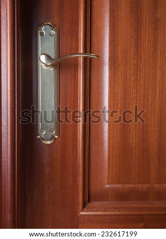 Detail of a door with handle background