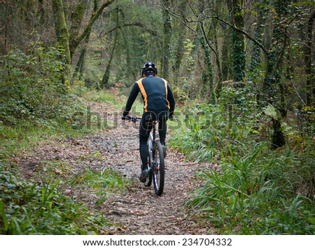 Cyclist practicing mountain bike on a forest trail. The rider is back