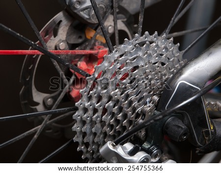 Cassette sprockets of a bicycle in a studio shot