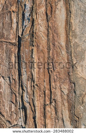 Rock background. Rock detail in vertical composition.