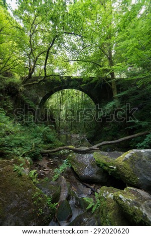 Old stone bridge hidden in the forest. This place is located in the Natural Park of 