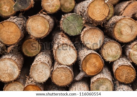 lumber stacked together in the outdoor