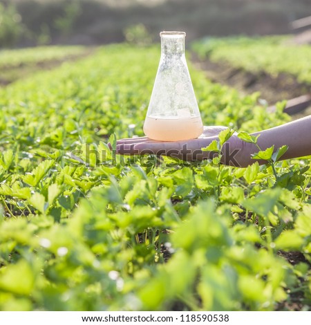 flask with soil solution in hand in the celery field