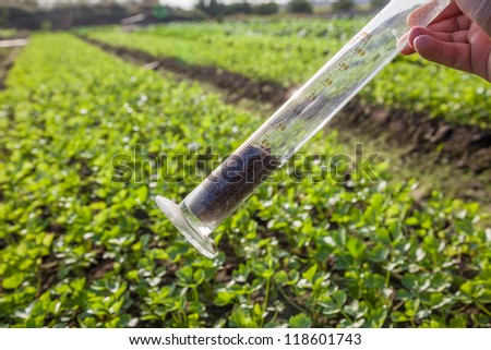 graduation cylinder with soil in it in the celery field, doing soil test