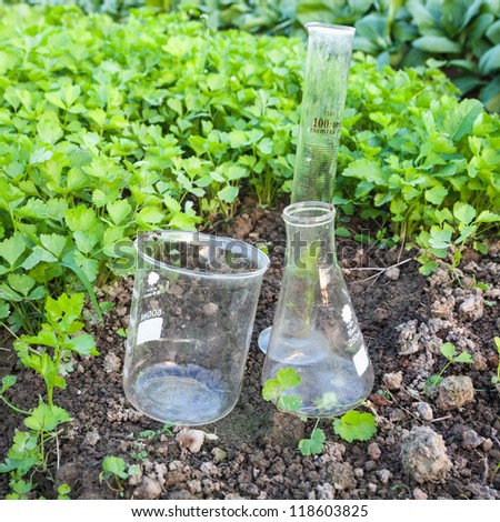 lab glassware, beaker,flask,graduation cylinder in the celery field