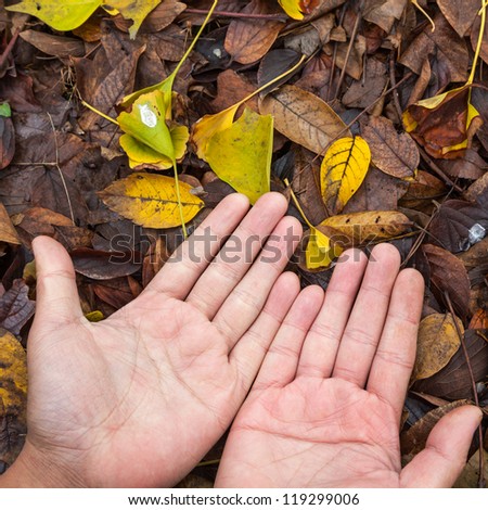 open hands on top of falling autumn leaves