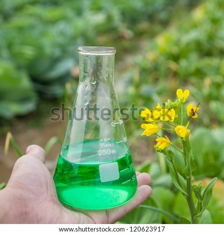 rape flower with flask with green solution