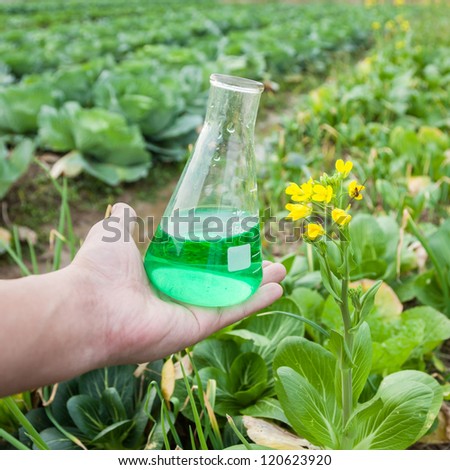 rape flower with flask with green solution
