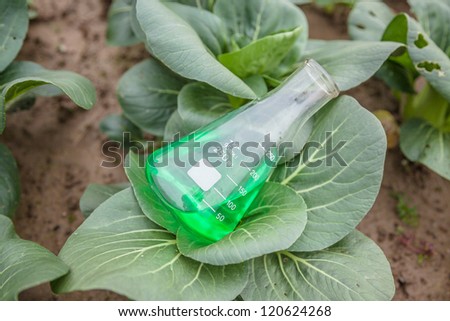 flask with green solution in a vegetable garden