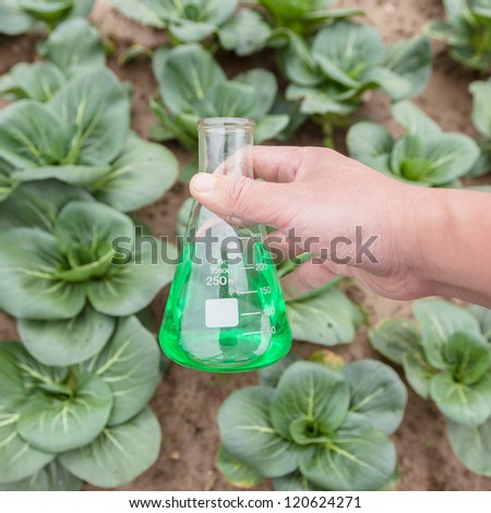 flask with green solution hold by hand in a vegetable garden