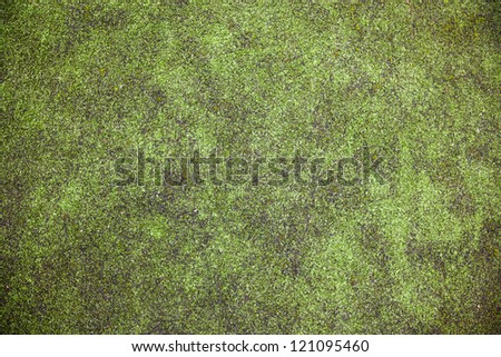 green grass field background in the soccer field