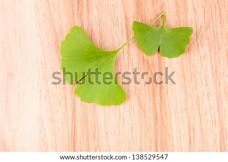 ginkgo leaves on table studio shoot