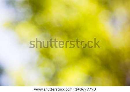 defocused light spot with green color
