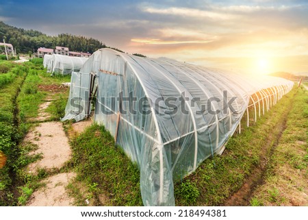 greenhouse in the spring in outdoor