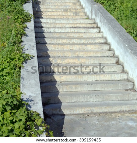 granite or concrete stairs steps and green plant as background under summer sun