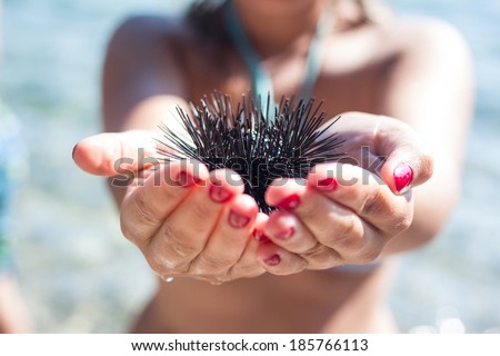 Close up of sea urchin in hands