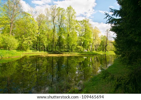 Forest Lake in the beautiful summer park