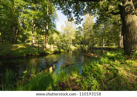 Summer landscape in the national park Gatchina. Russia