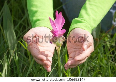 Flower with female hands, Earth Day