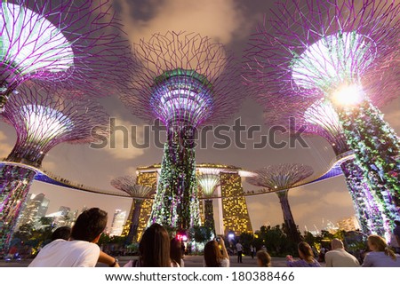 SINGAPORE -MARCH 1: Night view of Supertree Grove at Gardens by the Bay on March 1, 2014 in Singapore. Spanning 101 hectares of reclaimed land in central Singapore, adjacent to the Marina Reservoir