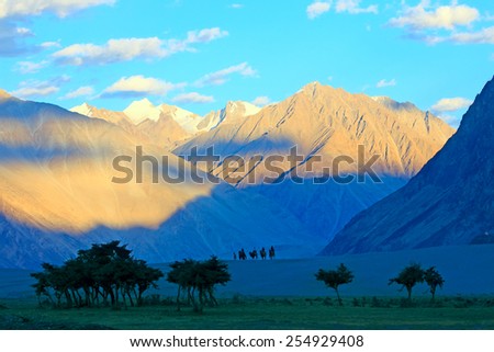 Landscape with mountains, green valley and caravan of camels.  Himalayas