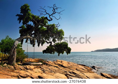 Seascape with swing on tree and stone beach at sunset