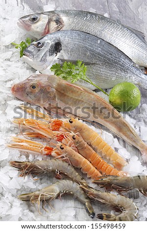 Fish stall on crushed ice. Supermarket, fish department