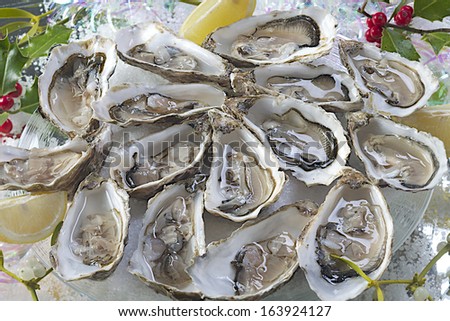 A Dozen Of Fresh Natural Oysters Presented On Sea Salt With Slices Of Lemons And Christmas Mistletoe