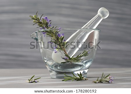 Fresh rosemary herb in glass mortar with pestle isolated on grey background