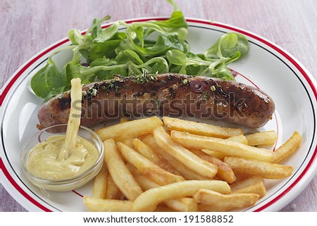 plate of grilled chicken leg and french fries with salad