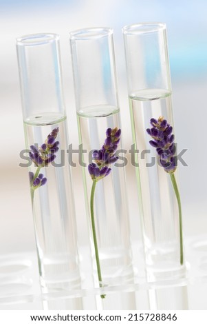 cosmetology lab - Flowers and plants in test tubes
