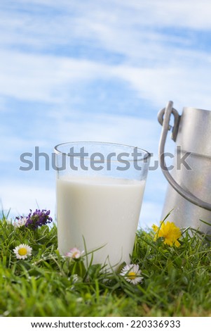 Vintage milk churn and glass of milk on the grass with flowers  the sky with clouds on the background.
