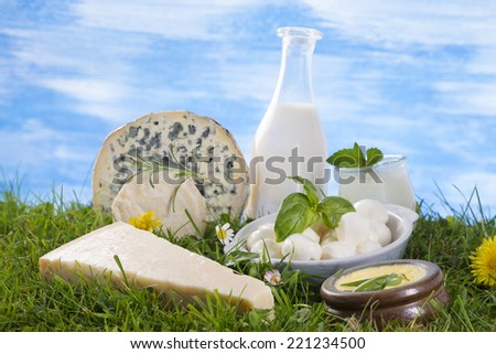 Dairy Products,  Includes: Milk, Various Types of Cheese, Butter, Ricotta and Yogurt.